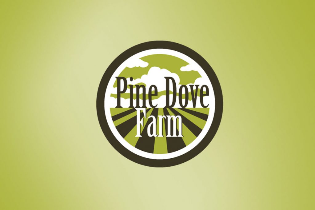 Pine Dove Farm Living Space New ecofriendly farmhousestyle homes