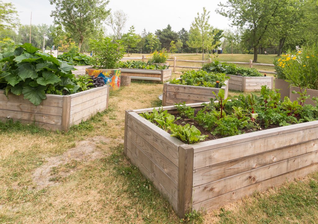 How To Build A Simple Raised Bed - Pine Dove Farm