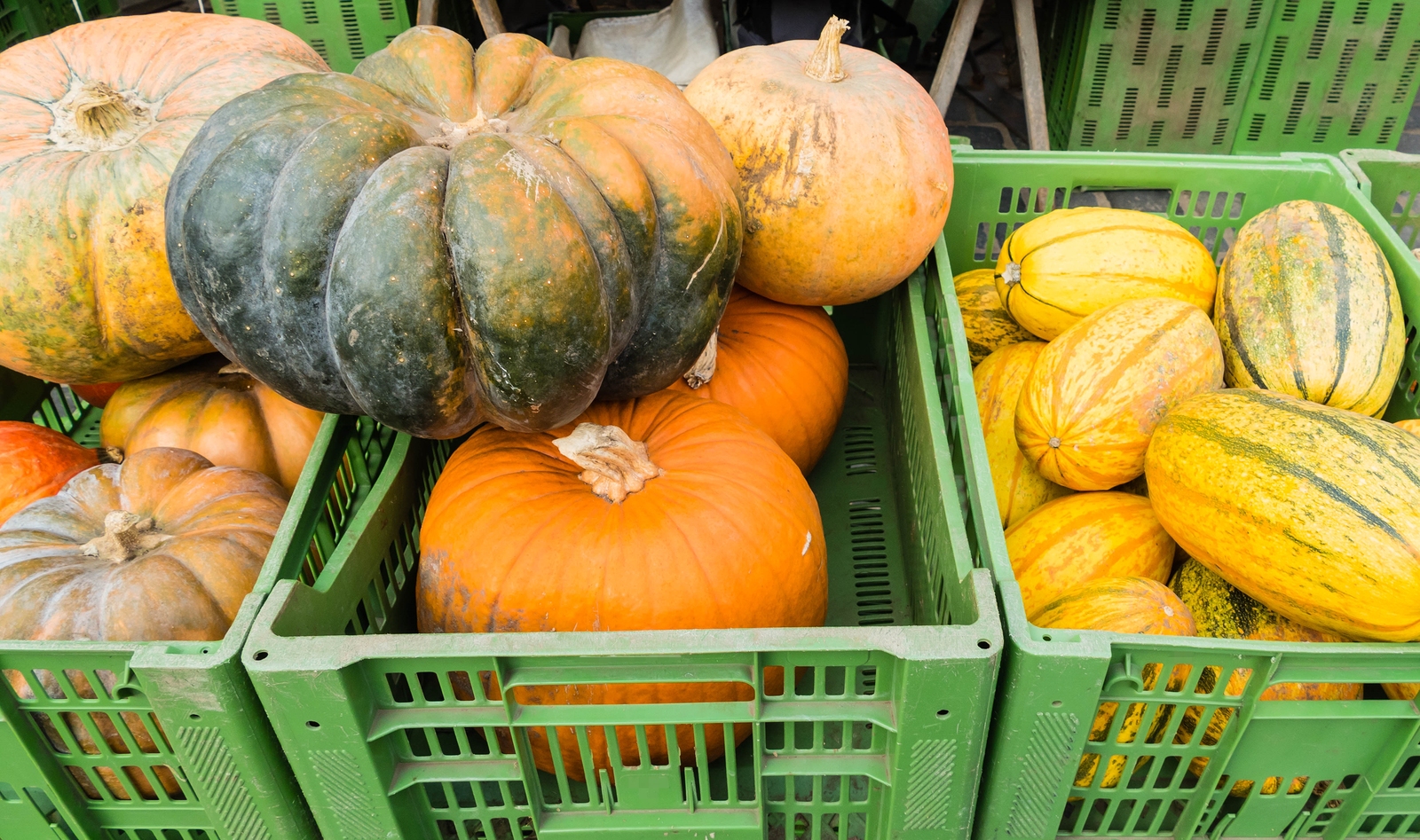 Pumpkins At Market Autmn Seasonal Food Fall
