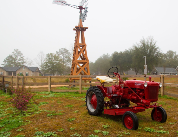 Pine Dove Farm photo 20