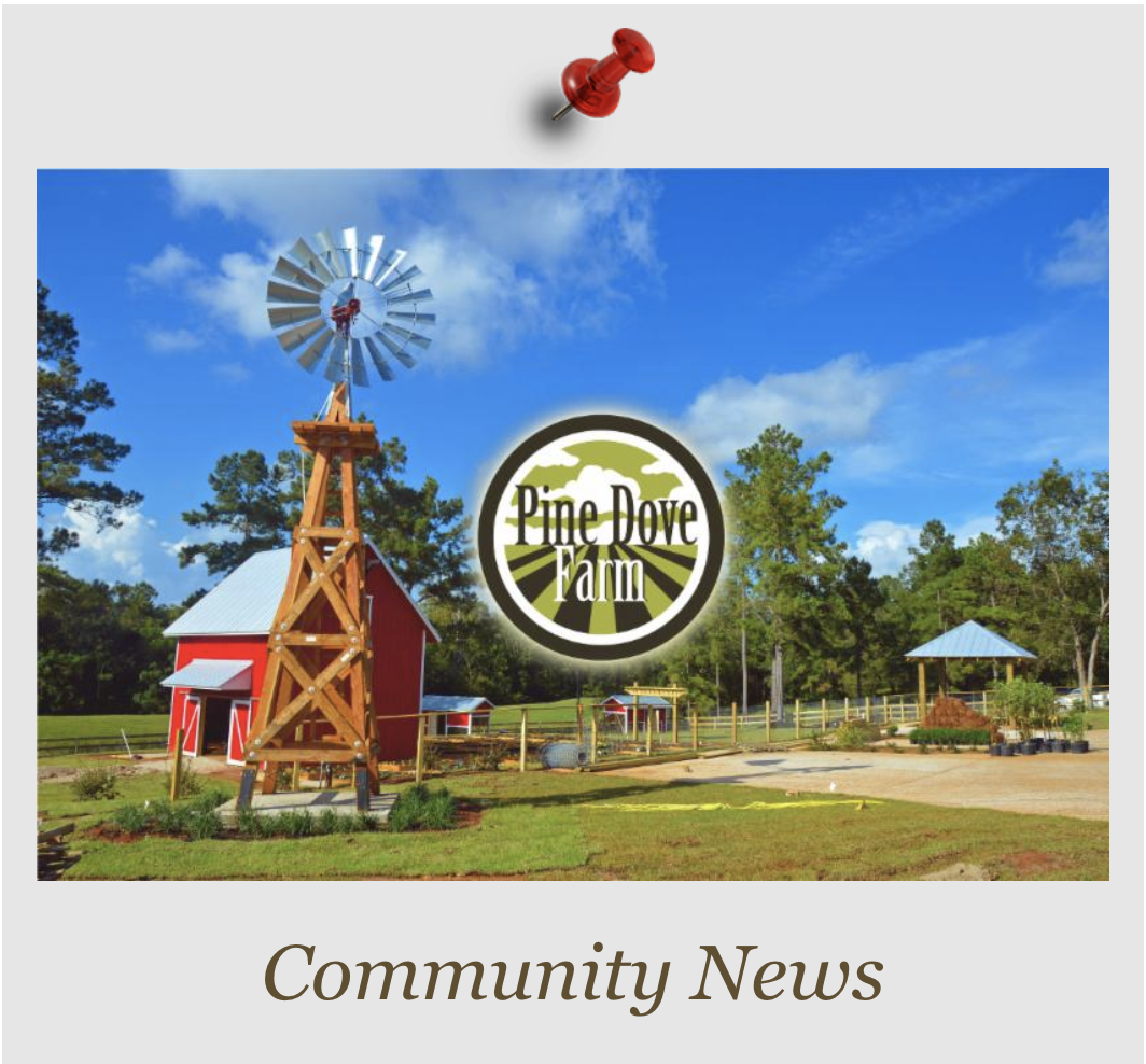 Screen Shot 2019-04-01 at 3.47.57 PM